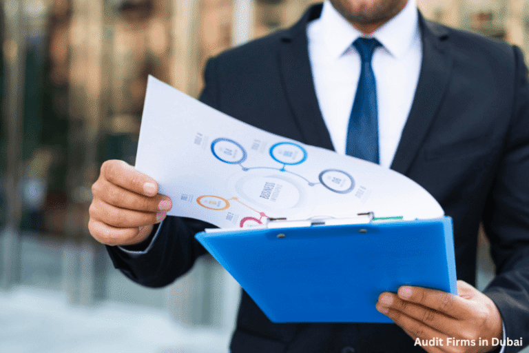 Audit Procedures and Regulations in the UAE